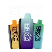 Brixz 9000 Main Product Image